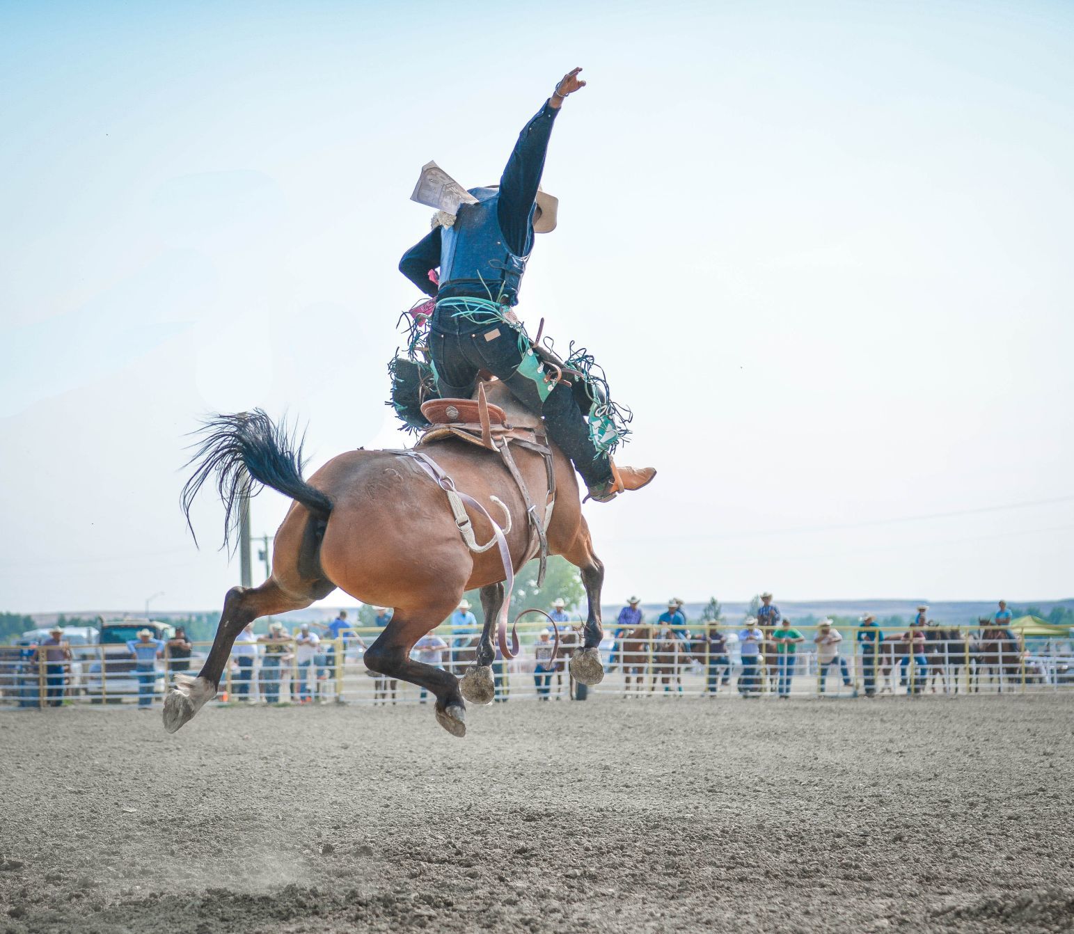 Crow Fair 2017